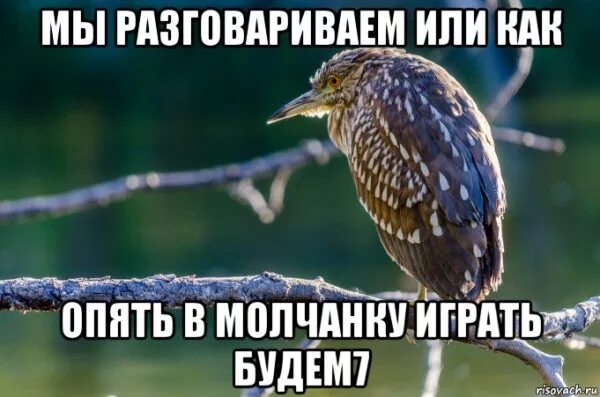 Будешь молчанку играть. Играть в молчанку. в молчанку будем играть. долго будем играть в молчанку. сыграем в молчанку.