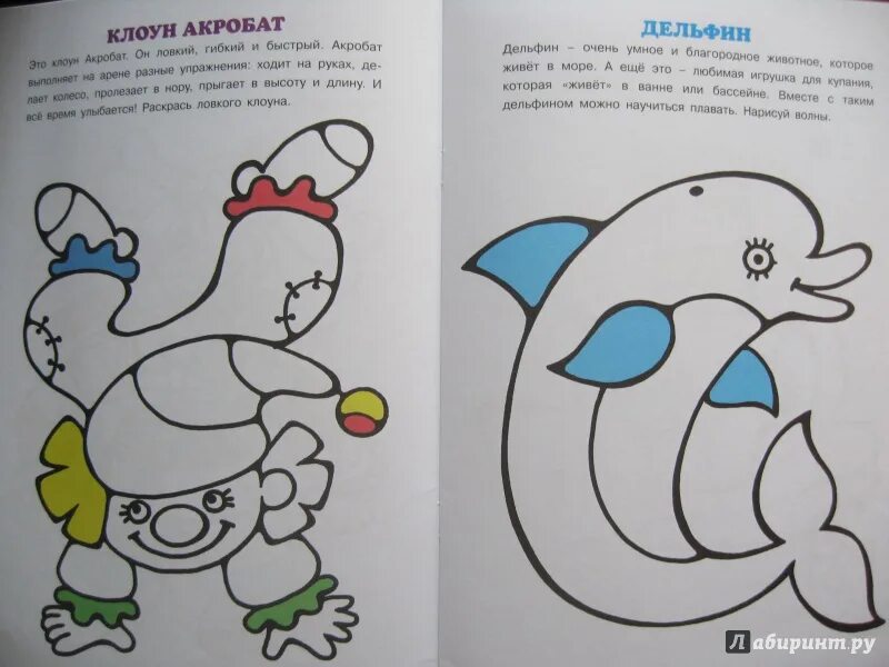 Бабочка раскраска для детей. Разные колеса раскраска. Расскрашивать или раскрашивать как правильно. Расскрашивать или раскрашивать как правильно. Раскрашивать или разукрашивать как правильно.