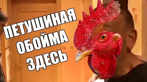 Кто такой петушара