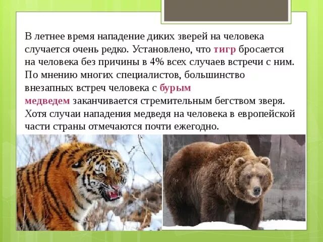 Дикие животные обж 8 класс