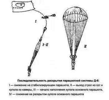 Сколько строп у парашюта
