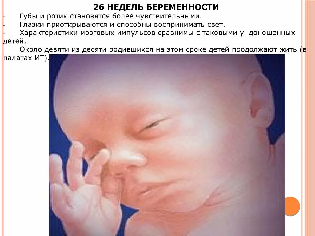 26 недель беременности развитие плода. Снимок узи 26 недель беременности. Узи плода на 26 неделе беременности. 26 недель беременности развитие плода. Размер ребёнка на 26 неделе беременности.