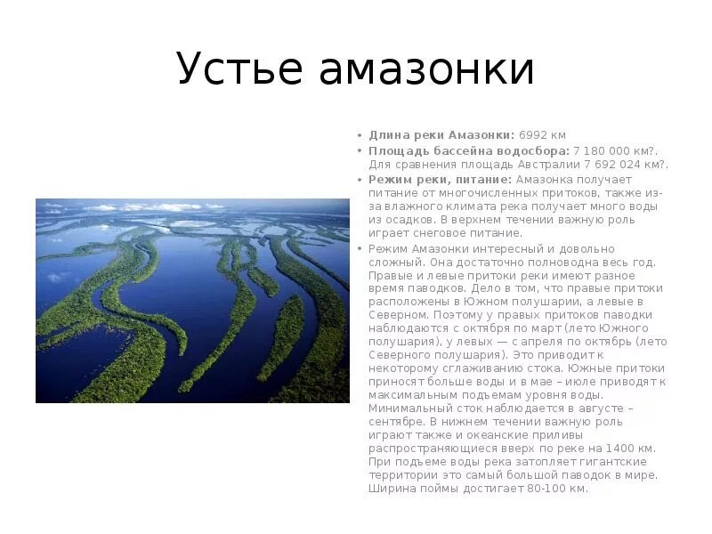 Река Амазонка Исток Устье приток. Амазонка река Устье реки Амазонка. Ширина реки Амазонка в Устье. Истоки реки амазонки.