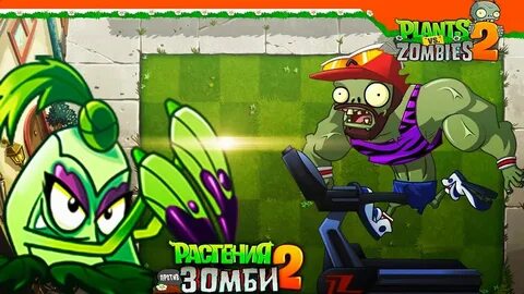 Зелел растение
