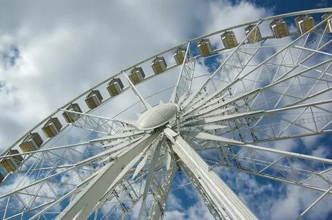 Wheel see