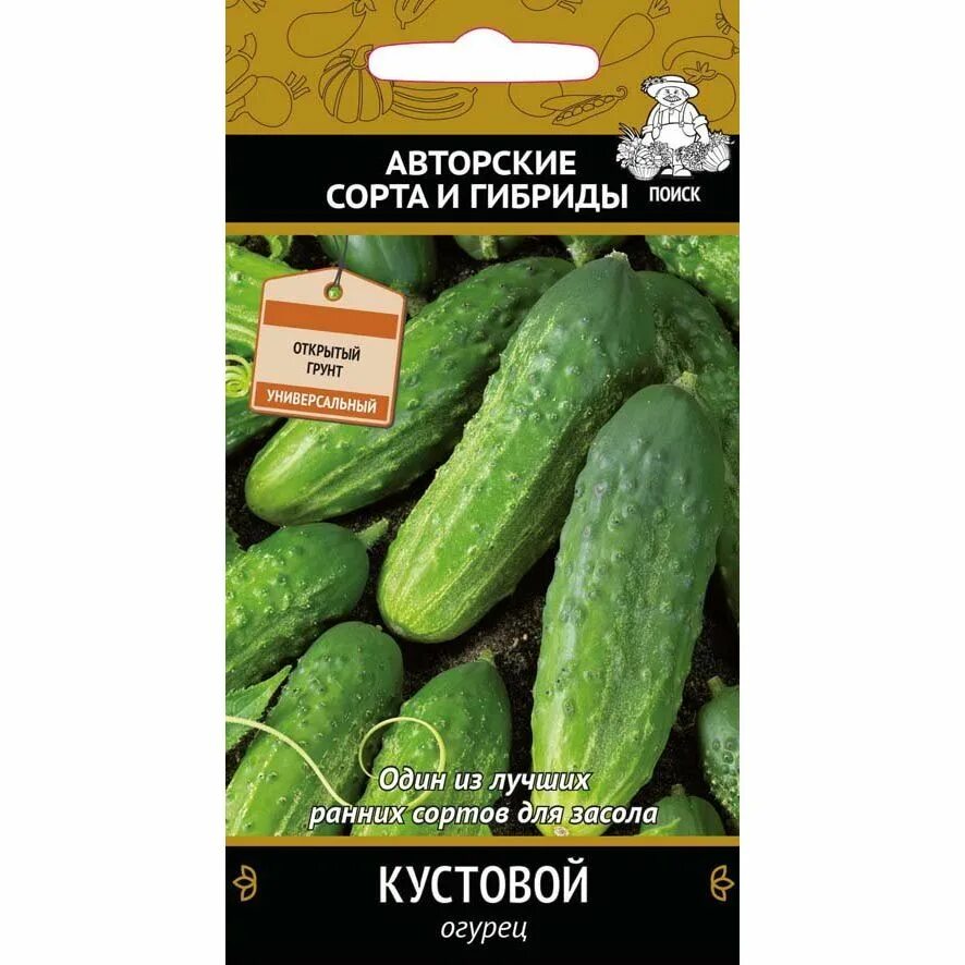 Кустовой огурец для открытого сорта. Кустовые сорта огурцов самоопыляемые. кустовые огурцы для открытого грунта сорта самоопыляемые. огурцы кустовые самоопыляющиеся. ранние огурцы сорта самоопыляемые для открытого грунта.