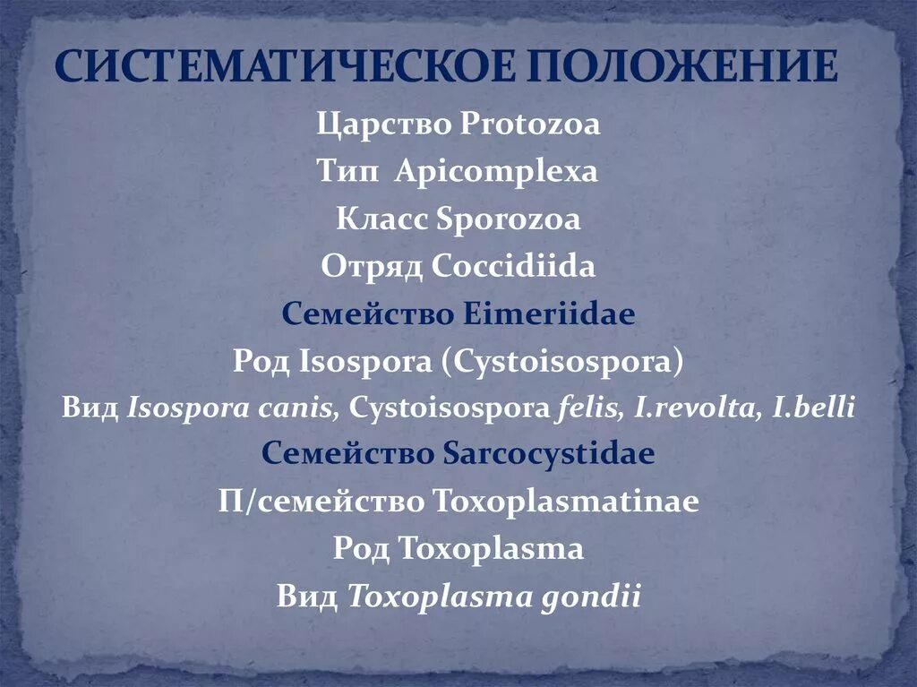 Положение на латыни. Систематическое положение. Систематическое положение простейших. Систематическое положение токсоплазмы. Систематическое положение лямблии.