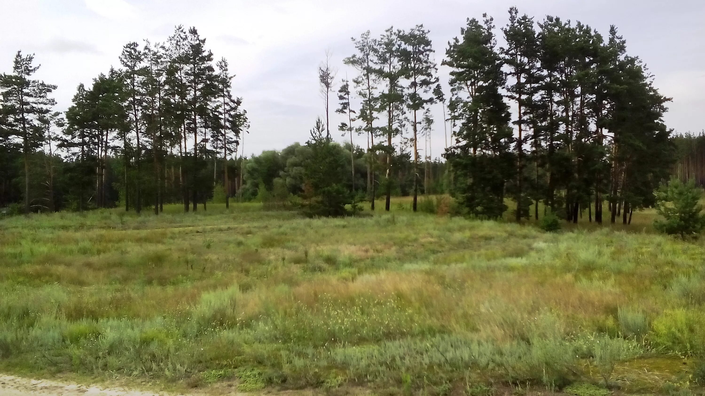 аренда земли в воронеже. земля промназначения. аренда земли в воронеже. купить землю в воронеже. участок промназначения.