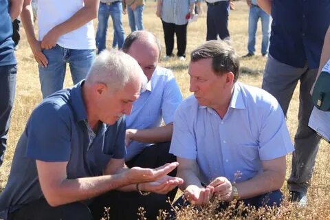 Погода новоспасское ульяновская область село садовое