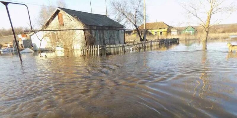 Паводок новоузенск. Саратовская область Екатериновский район село Вязовка. Село Комаровка Екатериновский район Саратовская область. Село Комаровка Воскресенского района Саратовской области. Наводнение в Саратовской области.