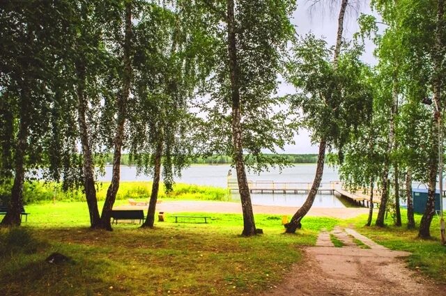 лесное озеро финуниверситет. лесные озёра санаторий витебская обл. лесные озера лечение. лесные озера лечение. санаторий лесное озеро гурьевск.