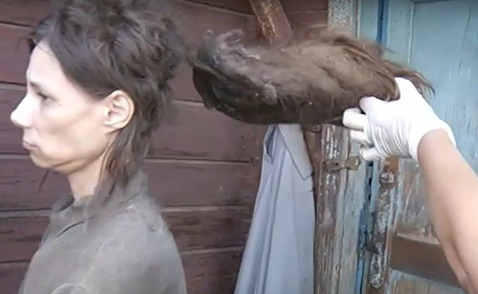 Полицейские насильники. Не украдут дерево. Девушка украла дерево. Девушка украла дерево. Привязанная к дереву девочка.