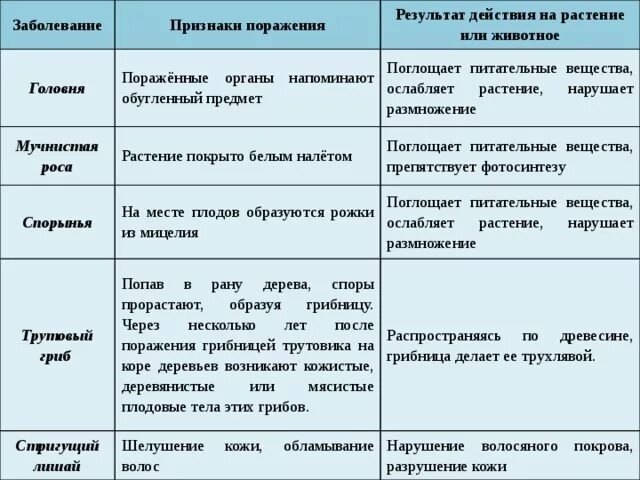 Грибы паразиты таблица. Заболевания вызываемые грибками. Болезни растений таблица. Таблица симптомы проявления болезней растений. Инфекционные заболевания грибы