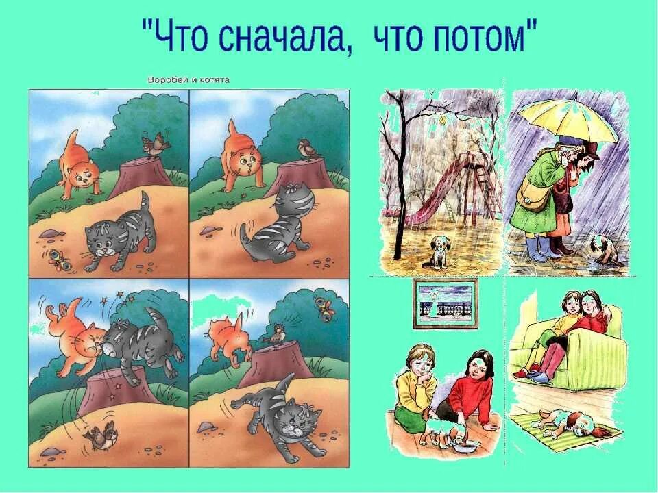 Что сначала что потом осень. Что сначала что потом сказки. Что сначала что потом тема семья. Картинки что сначала что потом