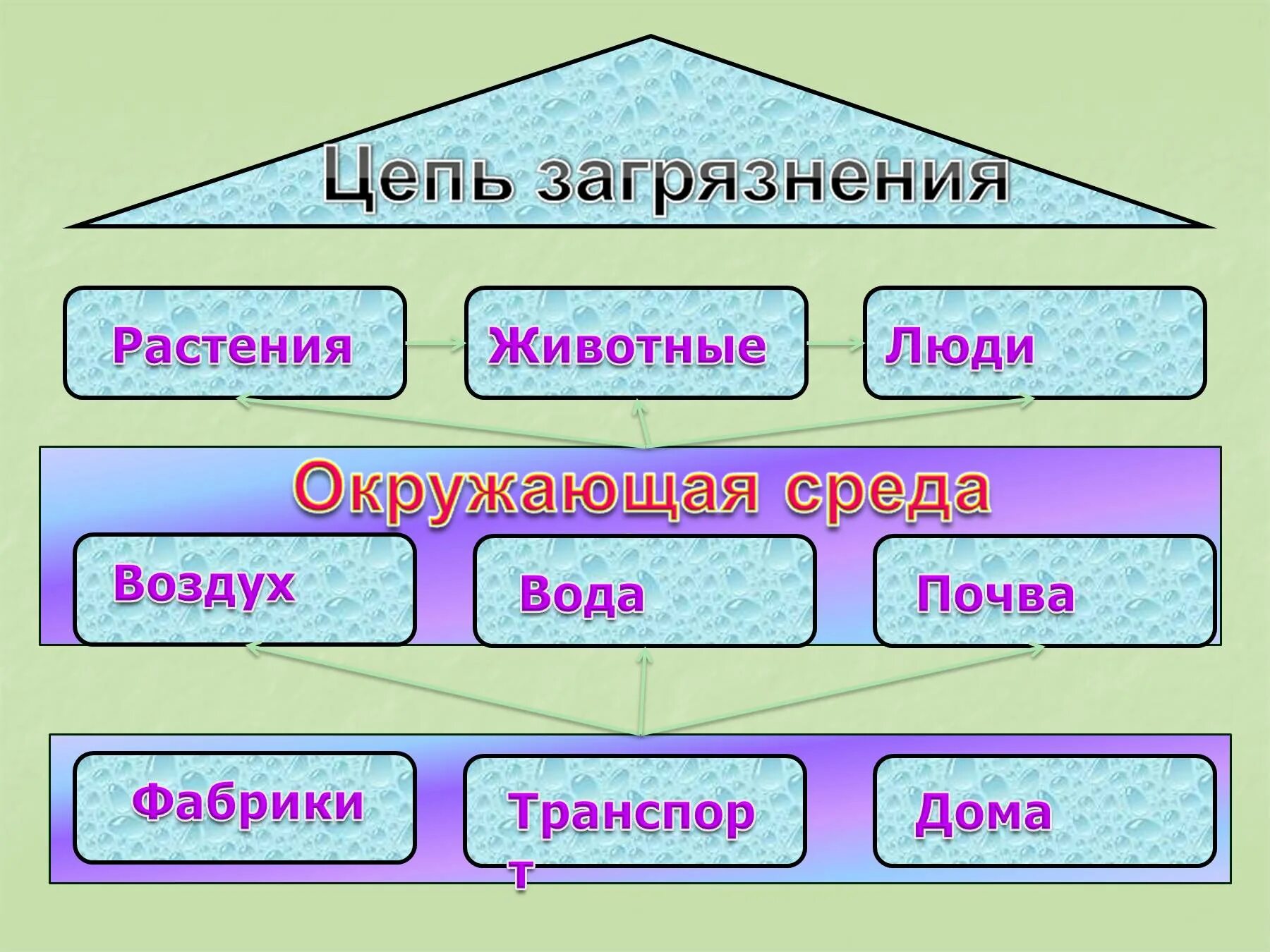 Экологическая безопасность 3 класс. Цепи загрязнения окружающей. Экологическая безопасность цепь загрязнения. Экология это 3 класс.