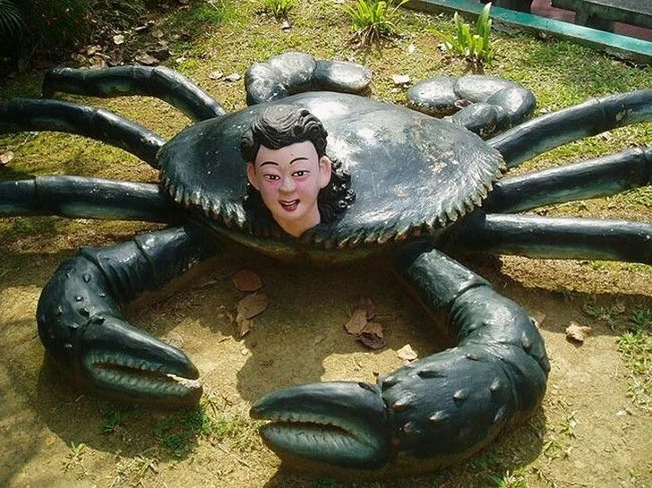 That s weird