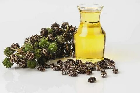 Касторка