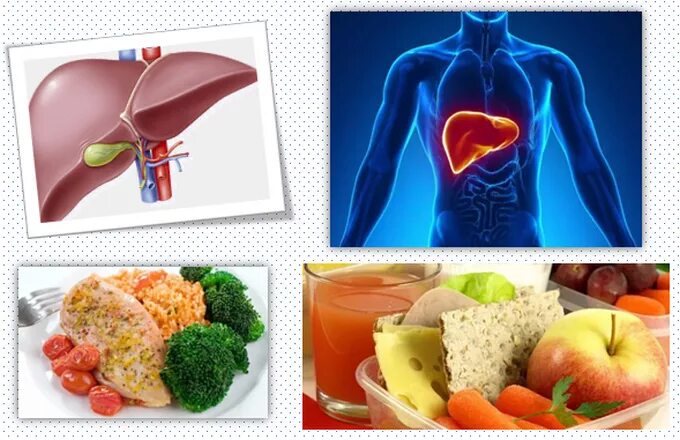 Продукты полезные для желчного пузыря и печени. Питание больных циррозом печени. Питание при заболевании цирроз печени. Профилактика хронических заболеваний печени. Диетотерапия при заболеваниях печени и желчевыводящих путей.