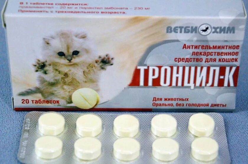 Глистогонное для кошек купить. Лекарство для кошек. Противоглистное средство для кошек. Противогельминтные препараты для кошек таблетки. Антигельминтные препараты для котят.