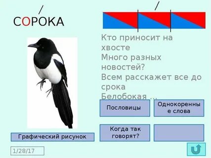 Воробей гласные звуки