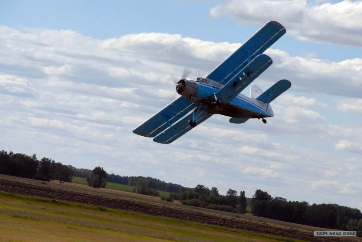 Кукурузник ан-2 пассажирский. Легендарный кукурузник ан-2. Высота кукурузника. Ан 2 бомбардировщик. Высота кукурузника.
