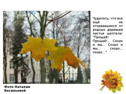 Листья падать сложное слово