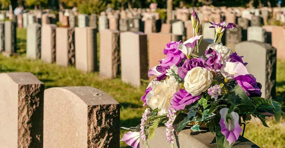 К чему снится цветы на кладбище. Кладбище цветы картинка для инстаграма. К чему снится цветы на кладбище. Best flowers for sympathy. Фиолетовые цветы на кладбище.