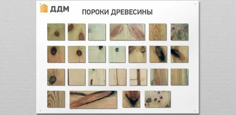 Порок дефект