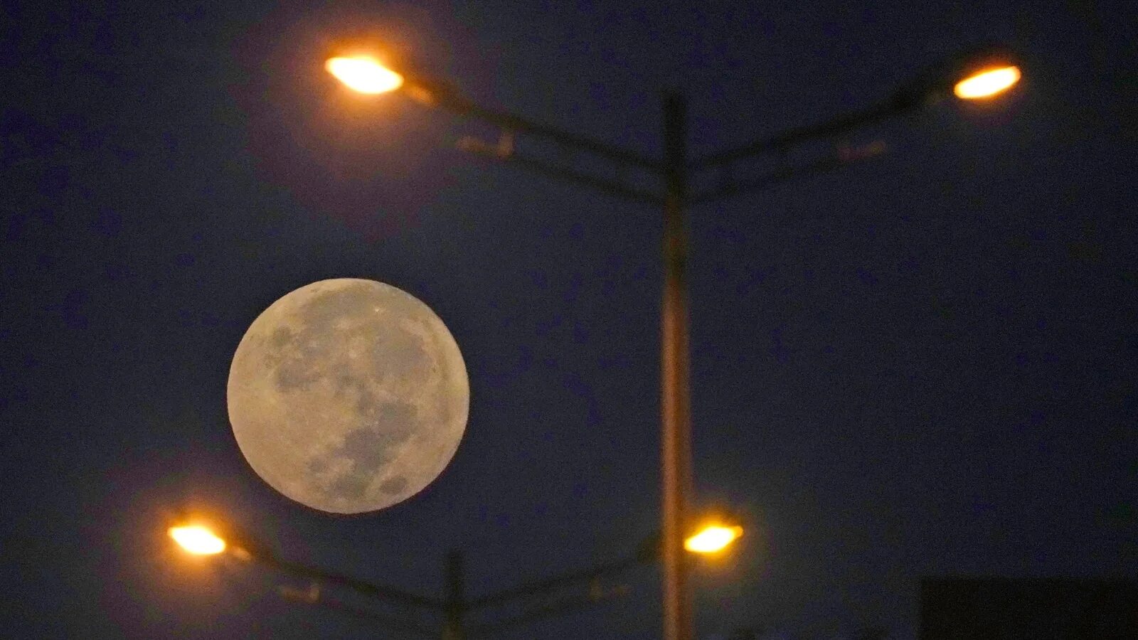 Луна взошла светло стало