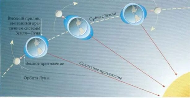 Приливы воды на луну. Приливы и отливы схема. Приливы и отливы Луна. Приливы и отливы Луна схема. Приливы и отливы астрономия.