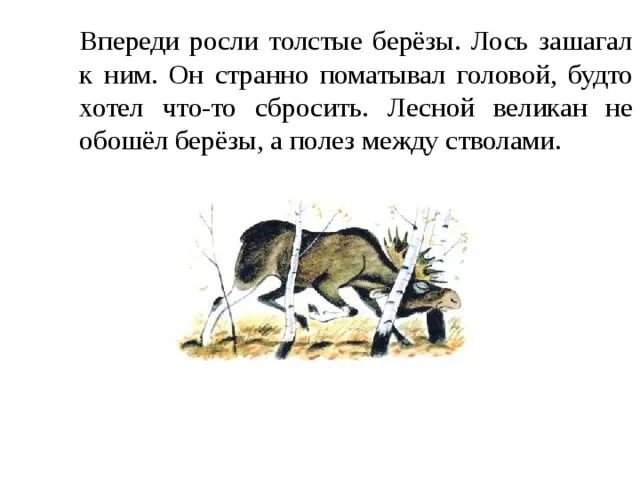 Изложение 3 класс Лесной великан Лось. Изложение Лось. Изложение Лесной великан. План изложения Лесной великан.