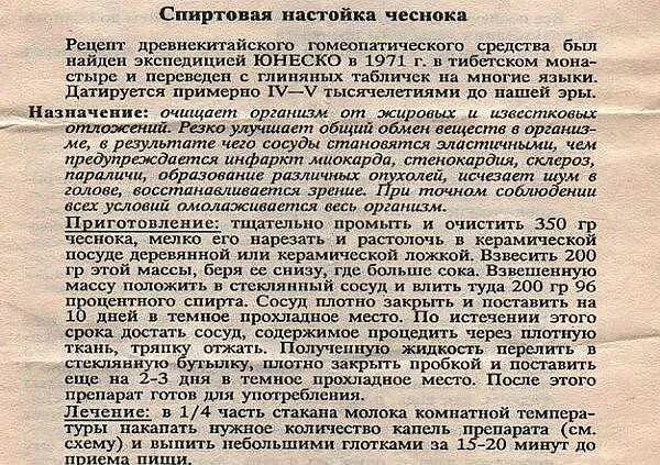 Схема приема болиголова при онкологии. Настаивать перевод. Жидкие лекарственные формы (жлф). Отвар коры дуба на латинском. Отвар коры дуба рецепт на латинском.