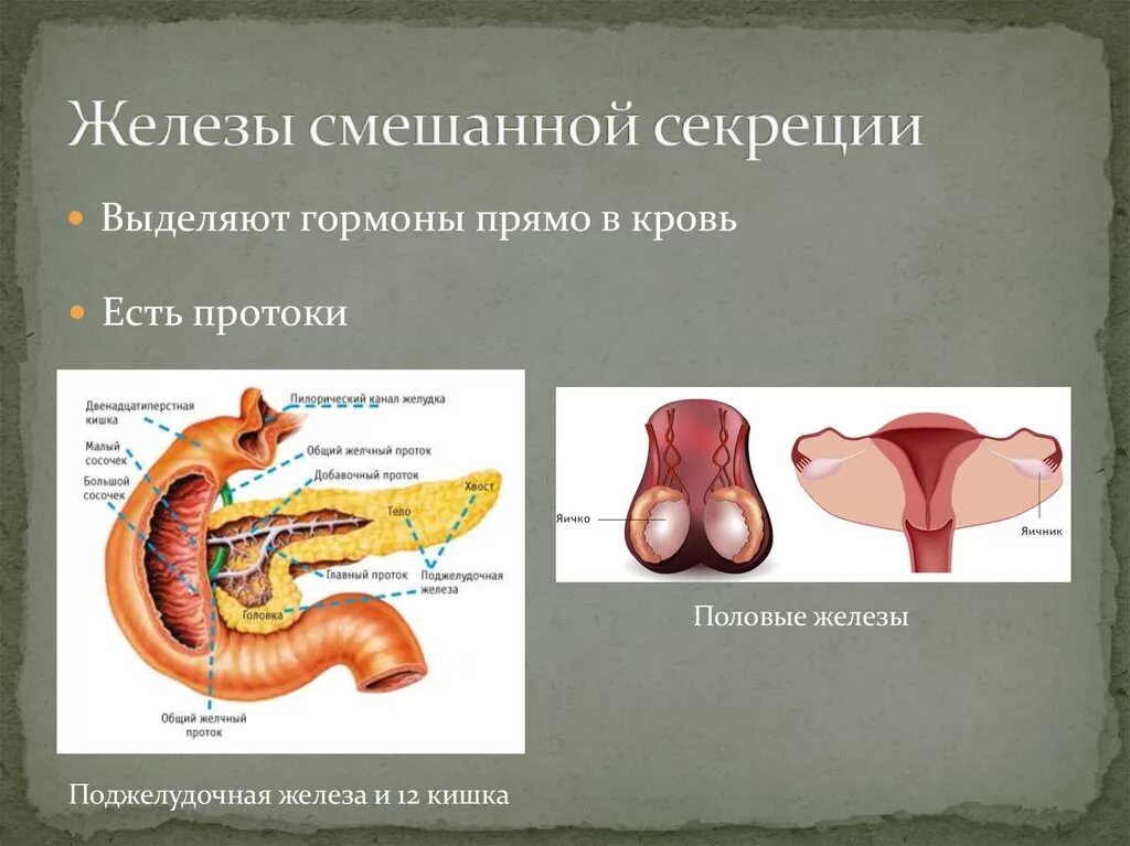 Как отличить железы