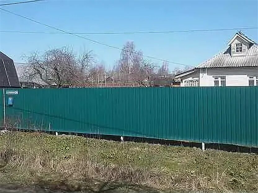 Петушки ул. Авито г. Царский петух. Петух молодой. Красноармейская, 34.