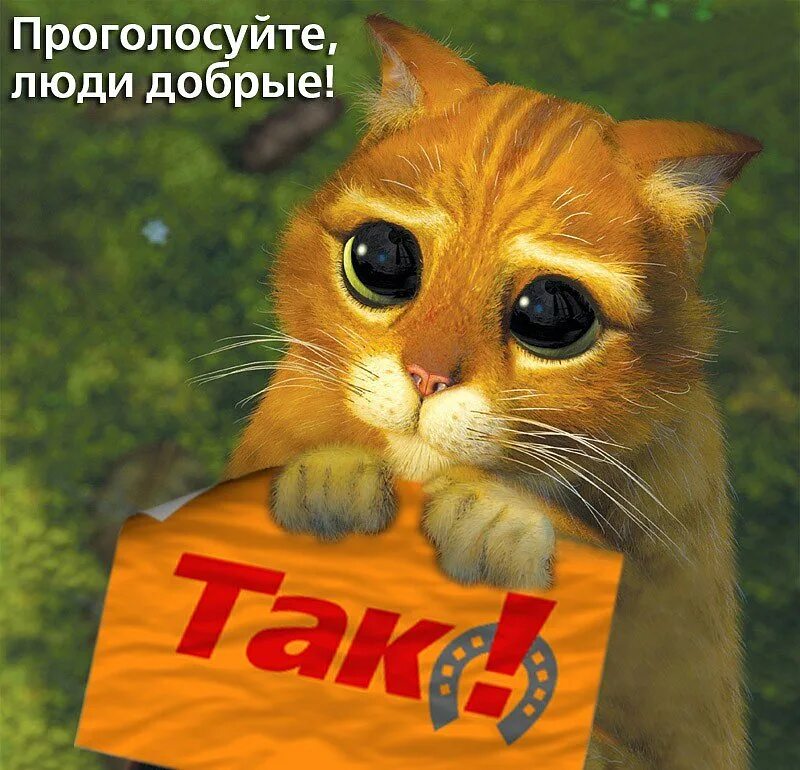 Вернись и проголосуй