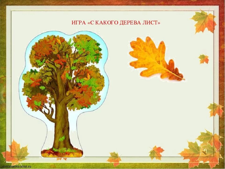 Листья деревьев для дошкольников. Дидактическая игра с какого дерева лист. Игра с какого дерева листик. Игра с какого дерева лист для подготовительной группы.