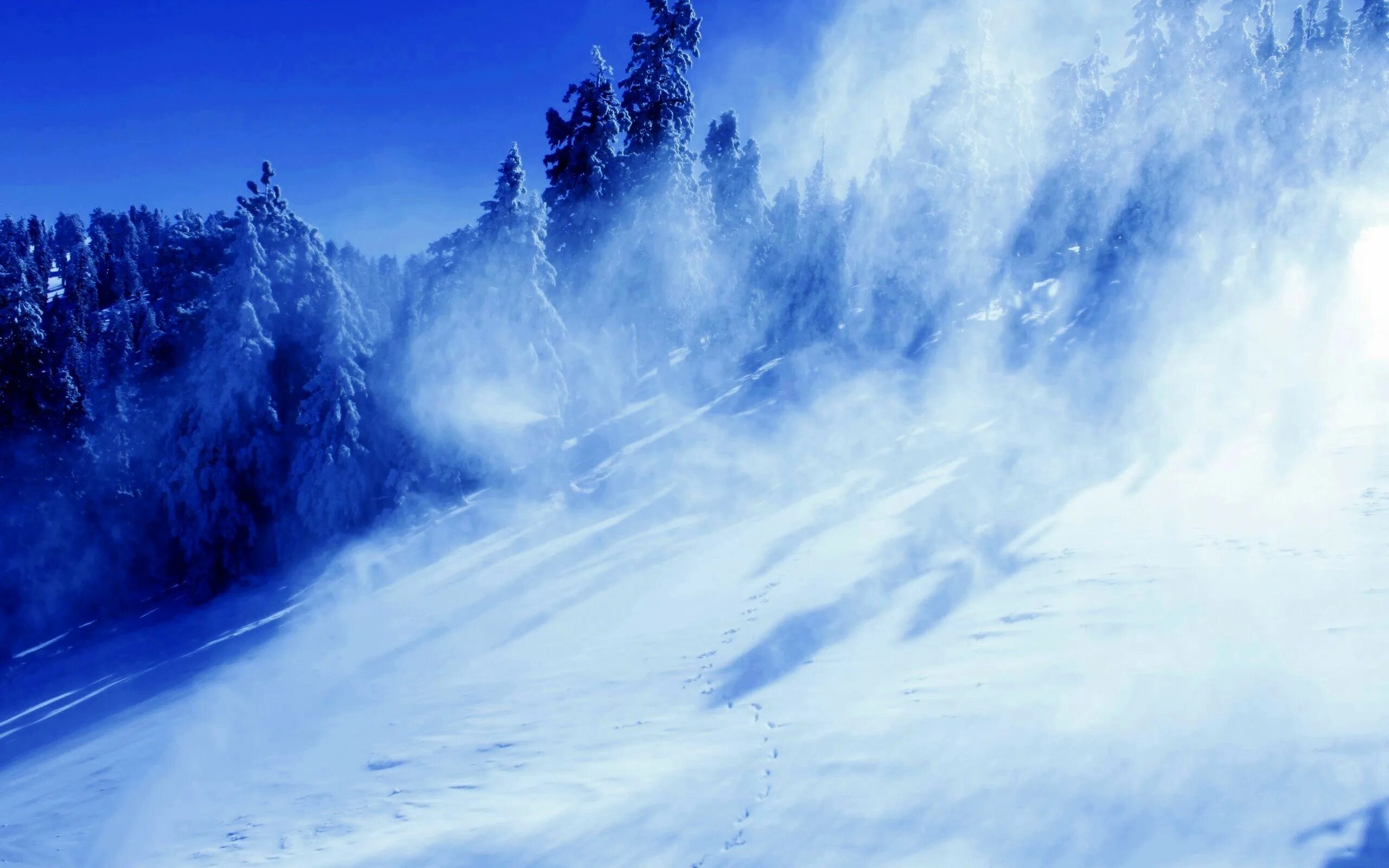 Метель вьюга пурга буран. Зимняя буря. Снегами зимними ветрами. Снегопад метель. Зимний ветер.