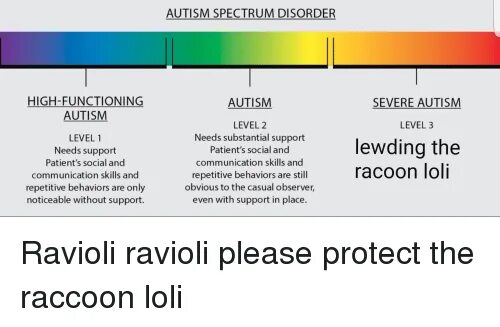 Autism Spectrum Disorder. Levels of Autism. Аутизм Спектрум. Describe Autism Spectrum Disorder support. Levels of functioning
