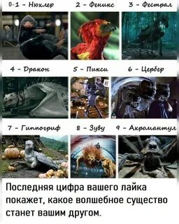 Тест на кин