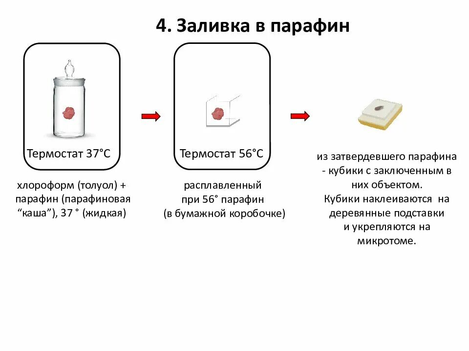 Заливка материала в парафин гистология. Методика заливки в парафин. Преимущества заливки материала в парафин. Парафиновый блок гистология.