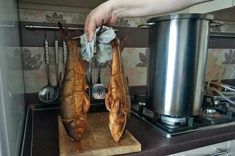 Электрокоптильня hanhi 20л. Копчение в квартире. Коптилка холодного копчения. Коптилка холодного копчения. Коптильня ханхи 20 л.