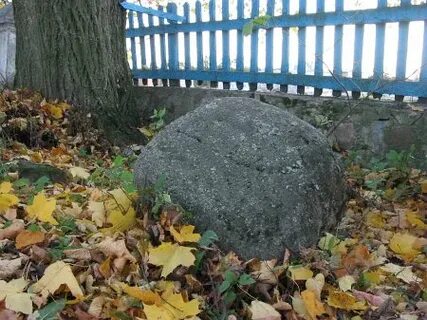Сегодня погода в негневичи
