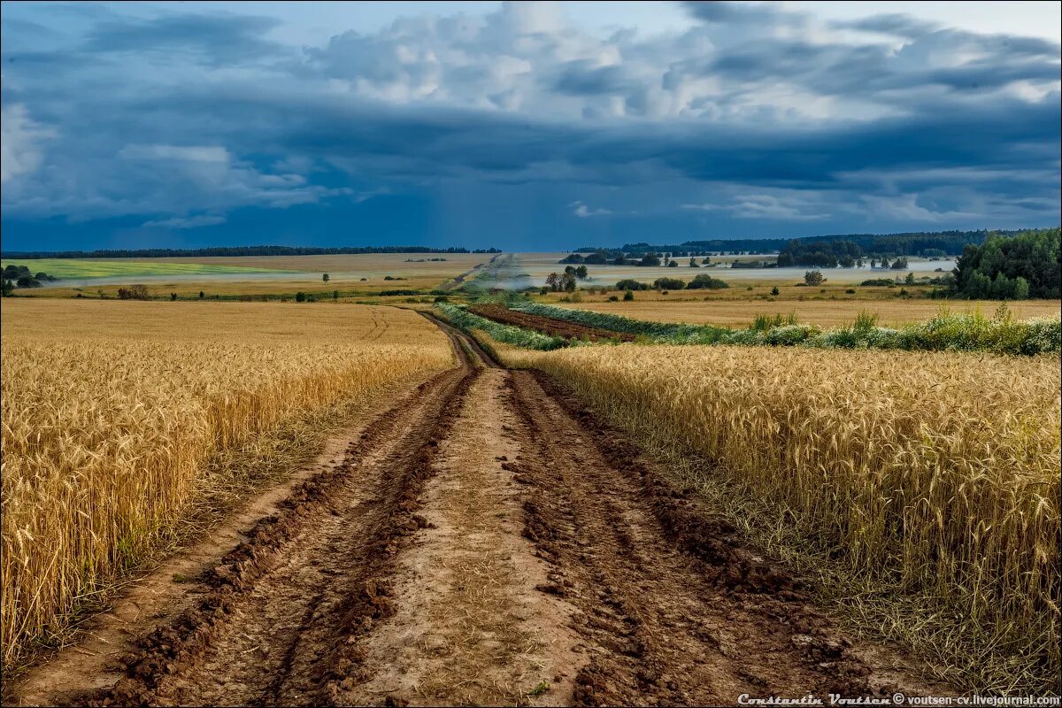 Ополье возвышенности. Суздальское ополье. Суздальское ополье. Суздальское ополье заболоченность. Владимирско суздальское ополье.