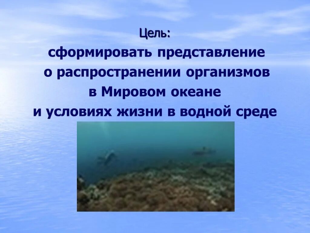 Жизнь организмов в океане. Условия жизни в океане. Жизнь в океане 7 класс. Распространение жизни в мировом океане.