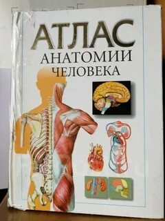 Первый атлас анатомии