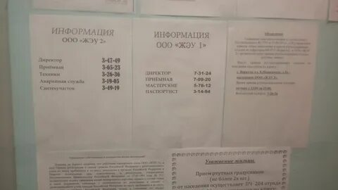 Жэу 23