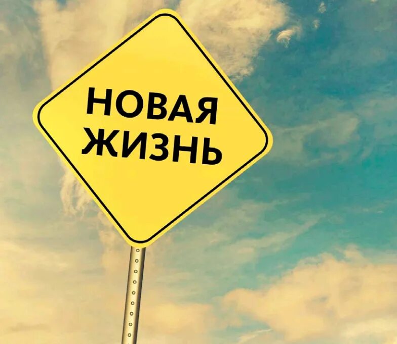 Новая жи