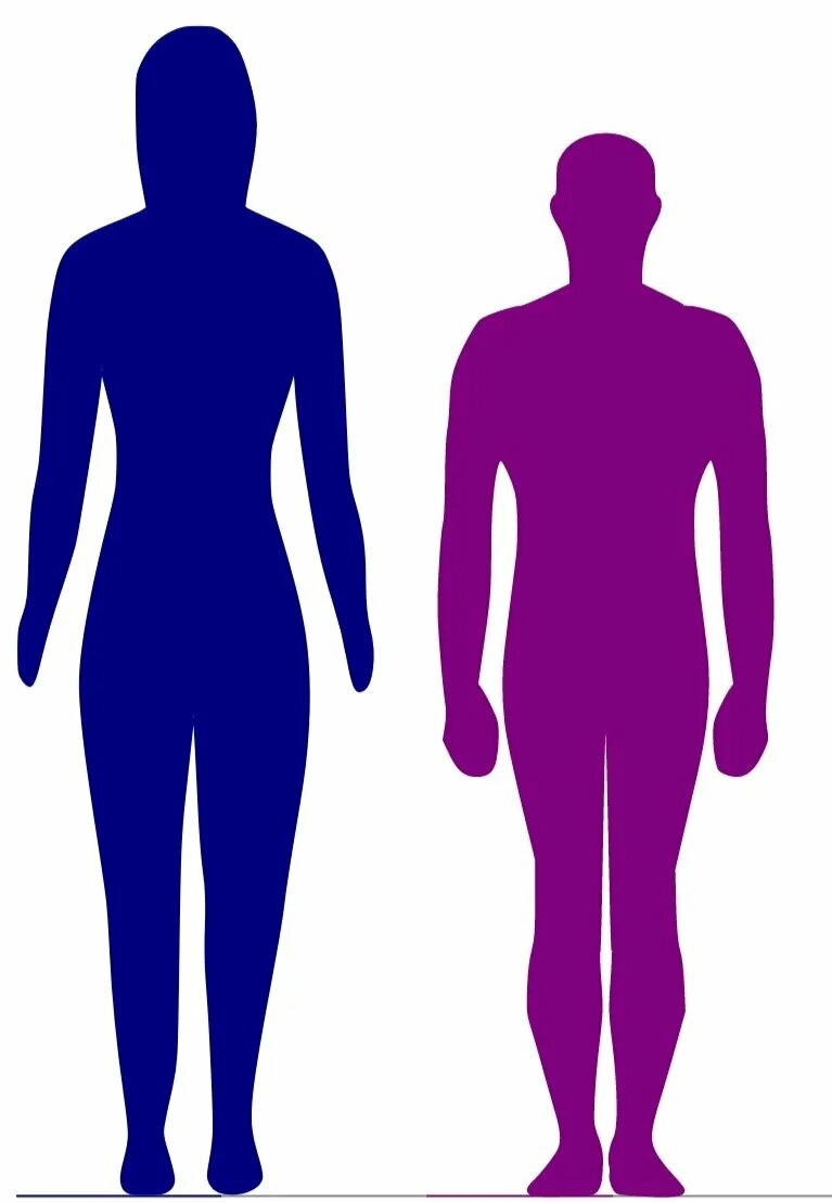 Разница ростов людей. Разница в росте людей. Различение человека. Разница в росте 10 см как выглядит. Разница в росте 5 см как выглядит.