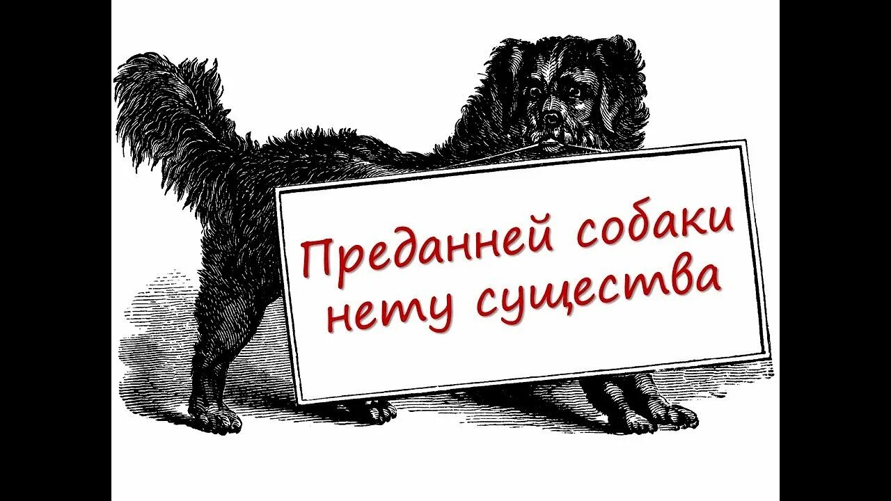 Преданный собаки нету существа. Преданней собаки нету. собаки нету существа. преданней собаки нету существа картинки. преданней собаки нету существа рисунок.