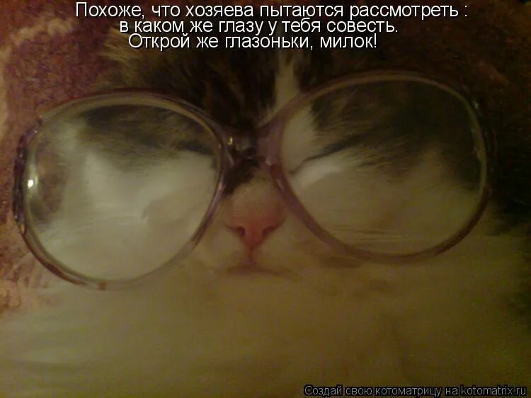 Открой глазки открой глазоньки. Открылись глаза. Открой глазки открой глазоньки. Смешные высказывания про ночь. Глаза открываешь восемь стих.